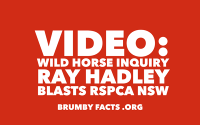 VIDEO: RAY HADLEY BLASTS RSPCA