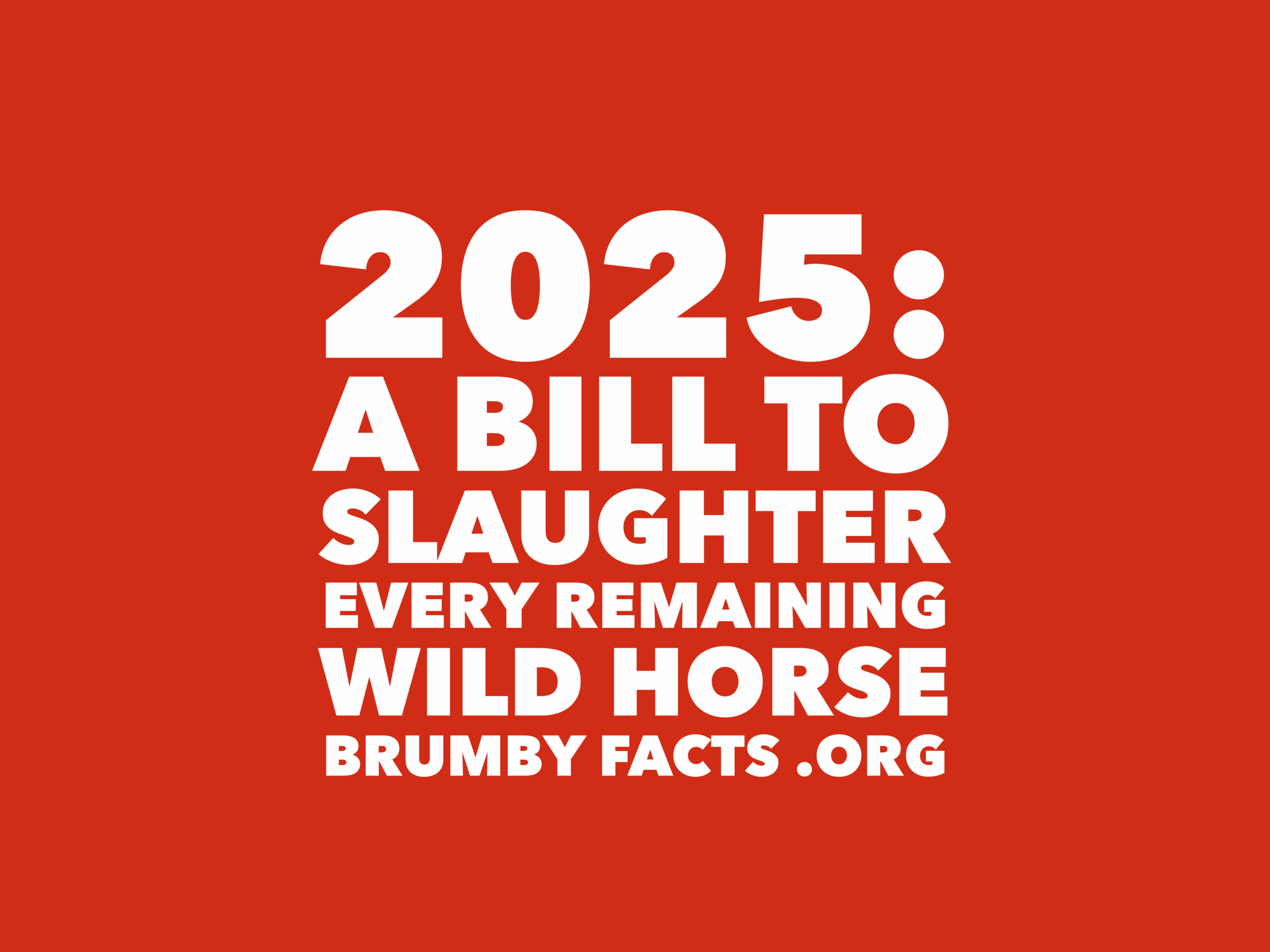 BRUMBY SLAUGHTER BILL UPDATE